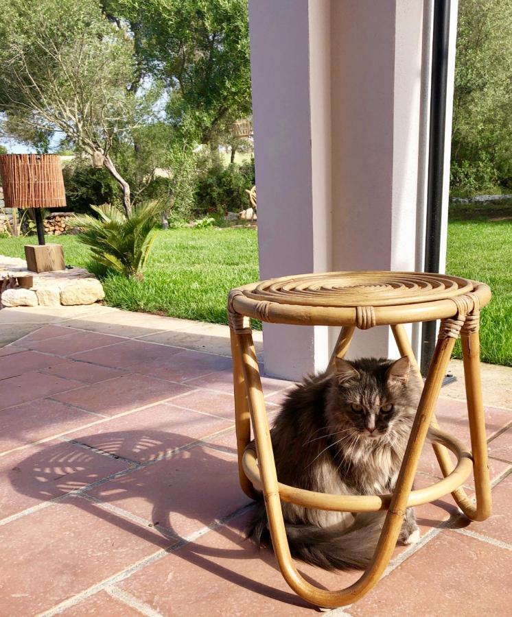La Casa Menorca Hotel Ferreries Kültér fotó